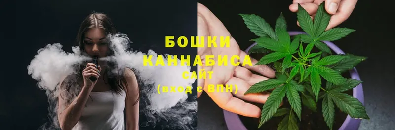 наркотики  Починок  Бошки Шишки OG Kush 